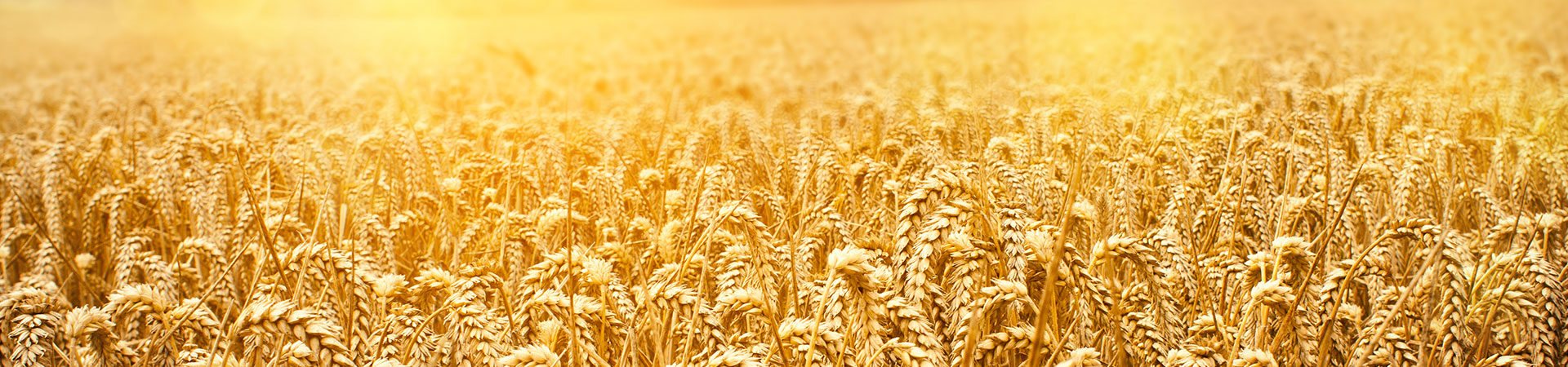 通聯(lián)現(xiàn)代