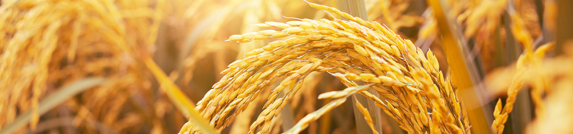 通聯(lián)現(xiàn)代